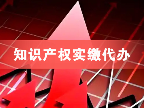 赣州知识产权实缴资本代办